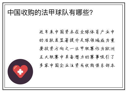 中国收购的法甲球队有哪些？