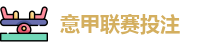 意甲投注